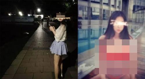 青青草国产在线偷拍视频,隐私边界与网络监管的反思