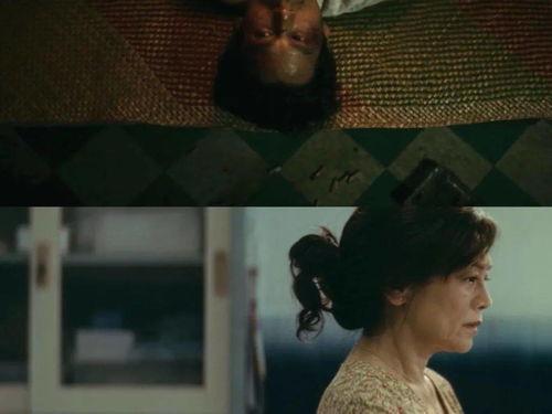 特殊片国产在线播放,探索特殊片魅力之旅