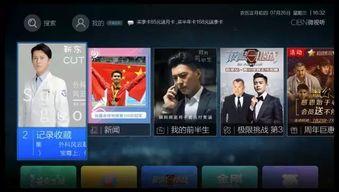 在线观看的资源视频国产,探寻中国电影艺术的魅力与深度