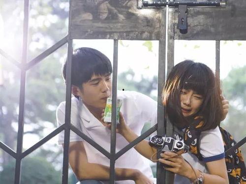 国产甜剧室友在线播放,室友们的甜蜜日常