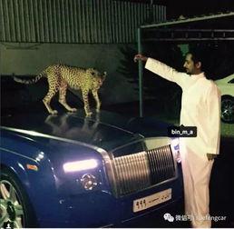 国产国语富二代在线观看,国产国语剧在线观看，揭开豪门背后的故事