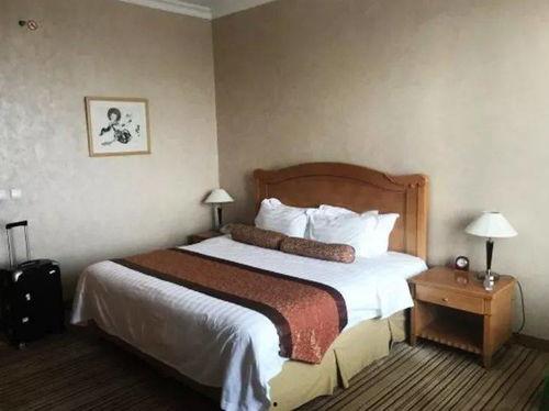 国产三级酒店在线看看,在线观看背后的行业真相