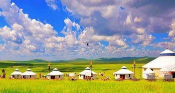 青草原在线国产,探寻国产影视新篇章